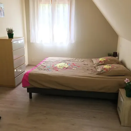 Le La Cigogne Et Le Chamois Munster (Haut-Rhin)