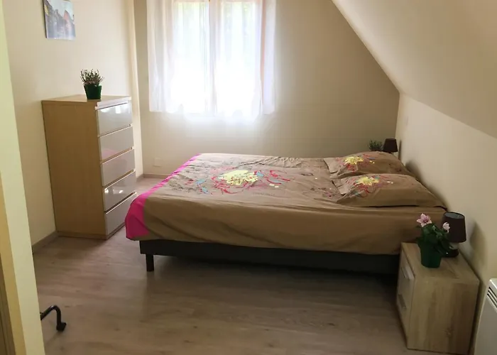 Le La Cigogne Et Le Chamois Munster (Haut-Rhin)